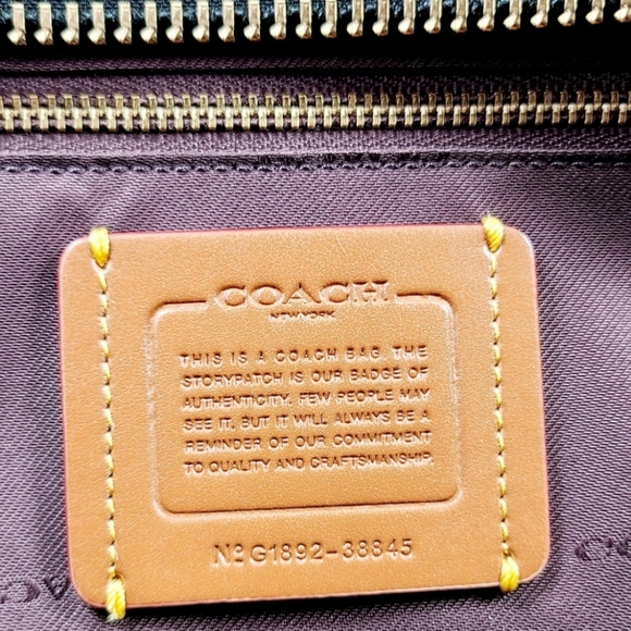 COACH Dreamer 36 in Signature with Snakeskin